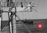 Image of invasion activiries Iwo Jima, 1945, second 24 stock footage video 65675071353