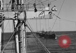 Image of invasion activiries Iwo Jima, 1945, second 27 stock footage video 65675071353