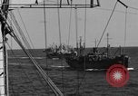 Image of invasion activiries Iwo Jima, 1945, second 32 stock footage video 65675071353