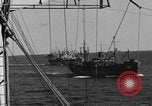 Image of invasion activiries Iwo Jima, 1945, second 37 stock footage video 65675071353