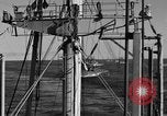 Image of invasion activiries Iwo Jima, 1945, second 54 stock footage video 65675071353