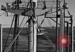 Image of invasion activiries Iwo Jima, 1945, second 55 stock footage video 65675071353