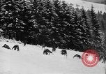 Image of Maquis France, 1944, second 62 stock footage video 65675071368