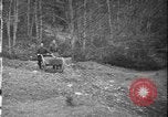Image of Maquis guerrillas France, 1944, second 20 stock footage video 65675071369