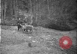 Image of Maquis guerrillas France, 1944, second 21 stock footage video 65675071369