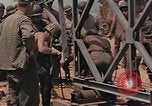 Image of Seabees Pacific Theater, 1945, second 8 stock footage video 65675071381