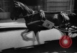 Immagine di Carrozza a cavallo razza Francia, 1943, secondo 32 filmato di repertorio 65675071388