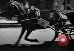 Immagine di Carrozza a cavallo razza Francia, 1943, secondo 33 filmato di repertorio 65675071388