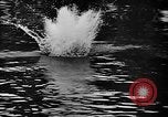 Image une compétition de natation Allemagne, 1943, de la seconde 8 séquences d'archives historiques vidéo 65675071389