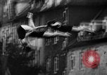 Image une compétition de natation Allemagne, 1943, de la seconde 16 séquences d'archives historiques vidéo 65675071389