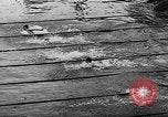 Image une compétition de natation Allemagne, 1943, de la seconde 29 séquences d'archives historiques vidéo 65675071389