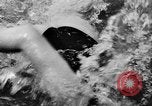 Image une compétition de natation Allemagne, 1943, de la seconde 60 séquences d'archives historiques vidéo 65675071389