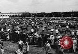 Image foire agricole Bellahoj Danemark, 1943, de la seconde 28 séquences d'archives historiques vidéo 65675071390