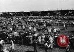 Image foire agricole Bellahoj Danemark, 1943, de la seconde 30 séquences d'archives historiques vidéo 65675071390