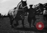 Image foire agricole Bellahoj Danemark, 1943, de la seconde 31 séquences d'archives historiques vidéo 65675071390
