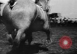 Image foire agricole Bellahoj Danemark, 1943, de la seconde 33 séquences d'archives historiques vidéo 65675071390