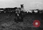 Image foire agricole Bellahoj Danemark, 1943, de la seconde 34 séquences d'archives historiques vidéo 65675071390