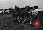 Image foire agricole Bellahoj Danemark, 1943, de la seconde 40 séquences d'archives historiques vidéo 65675071390