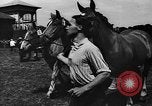 Image foire agricole Bellahoj Danemark, 1943, de la seconde 41 séquences d'archives historiques vidéo 65675071390