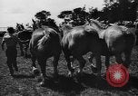 Image foire agricole Bellahoj Danemark, 1943, de la seconde 44 séquences d'archives historiques vidéo 65675071390