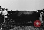 Image foire agricole Bellahoj Danemark, 1943, de la seconde 47 séquences d'archives historiques vidéo 65675071390