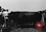 Image foire agricole Bellahoj Danemark, 1943, de la seconde 48 séquences d'archives historiques vidéo 65675071390