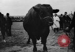 Image foire agricole Bellahoj Danemark, 1943, de la seconde 49 séquences d'archives historiques vidéo 65675071390
