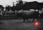 Image foire agricole Bellahoj Danemark, 1943, de la seconde 52 séquences d'archives historiques vidéo 65675071390