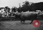 Image foire agricole Bellahoj Danemark, 1943, de la seconde 53 séquences d'archives historiques vidéo 65675071390