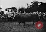Image foire agricole Bellahoj Danemark, 1943, de la seconde 54 séquences d'archives historiques vidéo 65675071390