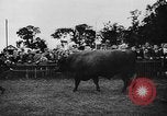 Image foire agricole Bellahoj Danemark, 1943, de la seconde 55 séquences d'archives historiques vidéo 65675071390