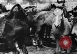 Image fermes collectives l'Ukraine, 1943, de la seconde 5 séquences d'archives historiques vidéo 65675071391