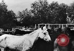 Image fermes collectives l'Ukraine, 1943, de la seconde 10 séquences d'archives historiques vidéo 65675071391