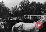 Image fermes collectives l'Ukraine, 1943, de la seconde 11 séquences d'archives historiques vidéo 65675071391