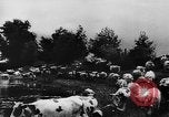 Image fermes collectives l'Ukraine, 1943, de la seconde 14 séquences d'archives historiques vidéo 65675071391