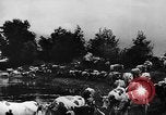Image fermes collectives l'Ukraine, 1943, de la seconde 15 séquences d'archives historiques vidéo 65675071391