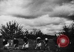 Image fermes collectives l'Ukraine, 1943, de la seconde 21 séquences d'archives historiques vidéo 65675071391