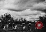Image fermes collectives l'Ukraine, 1943, de la seconde 23 séquences d'archives historiques vidéo 65675071391
