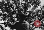 Image fermes collectives l'Ukraine, 1943, de la seconde 27 séquences d'archives historiques vidéo 65675071391