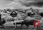 Image fermes collectives l'Ukraine, 1943, de la seconde 31 séquences d'archives historiques vidéo 65675071391