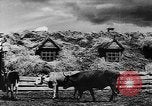 Image fermes collectives l'Ukraine, 1943, de la seconde 32 séquences d'archives historiques vidéo 65675071391