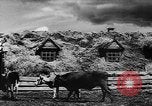 Image fermes collectives l'Ukraine, 1943, de la seconde 33 séquences d'archives historiques vidéo 65675071391
