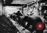 Image fermes collectives l'Ukraine, 1943, de la seconde 53 séquences d'archives historiques vidéo 65675071391