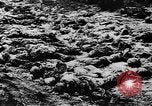Standbild Trauerfeier Vinnitsa Ukraine Sowjetunion, 1943, aus Sekunde 11 historischem Filmmaterial Videoclip 65675071392