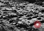 Standbild Trauerfeier Vinnitsa Ukraine Sowjetunion, 1943, aus Sekunde 13 historischem Filmmaterial Videoclip 65675071392