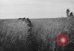 Standbild Deutsche Infanterie Sowjetunion, 1943, aus Sekunde 35 historischem Filmmaterial Videoclip 65675071393