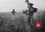Standbild Deutsche Infanterie Sowjetunion, 1943, aus Sekunde 37 historischem Filmmaterial Videoclip 65675071393