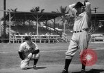 Image of Philadelphia Phillies Miami Beach Florida USA, 1941, second 44 stock footage video 65675071399