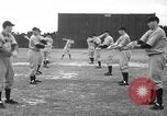 Image of Newark Bears Sebring Florida USA, 1941, second 28 stock footage video 65675071400