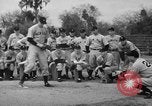 Image of Newark Bears Sebring Florida USA, 1941, second 41 stock footage video 65675071400